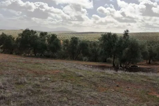 Image 18 thumb
