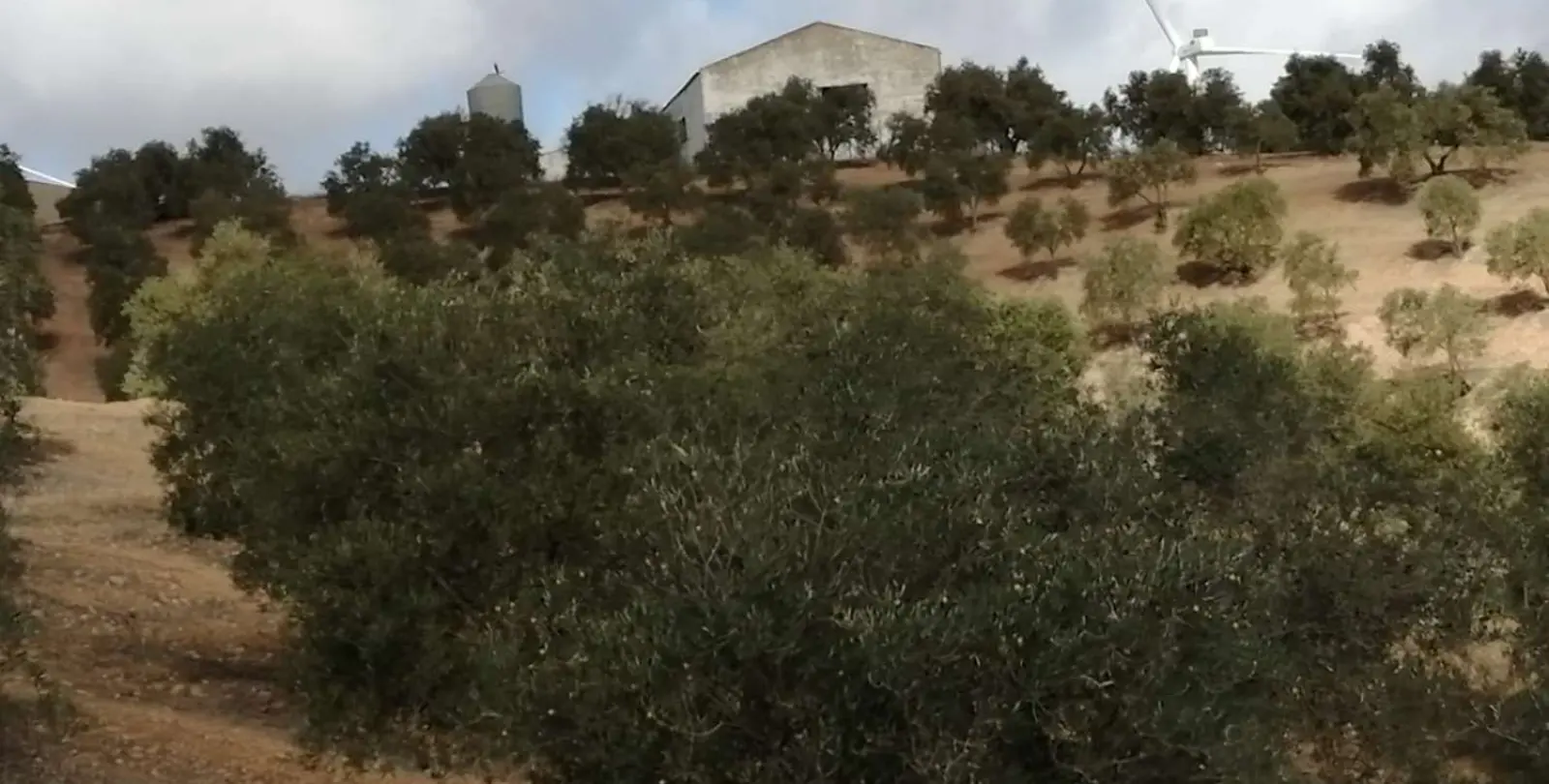 Продажа  жилого участка в Sierra de Yeguas 19
