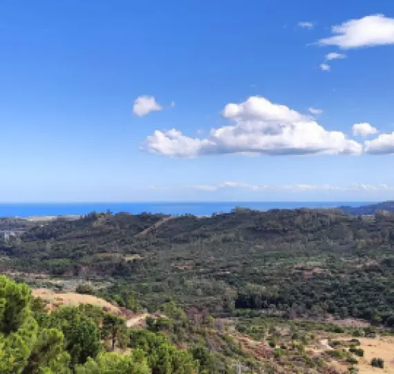 Продажа  жилого участка в Benahavís