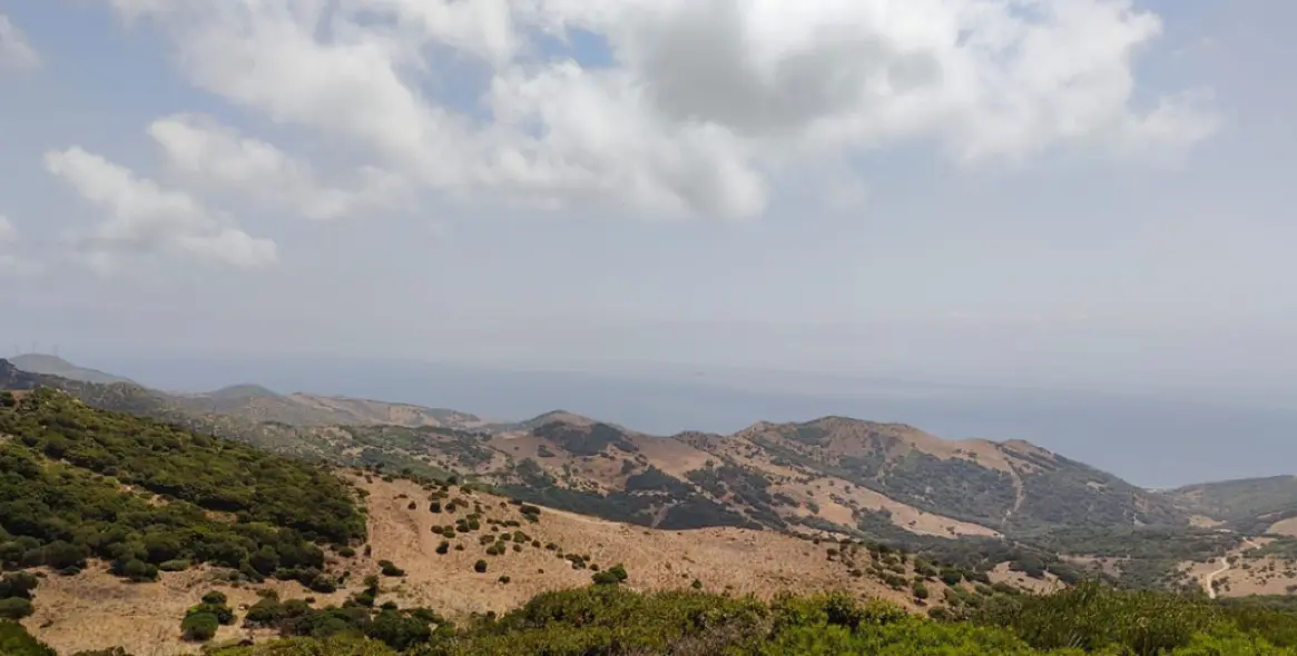 Продажа  жилого участка в Benahavís 9