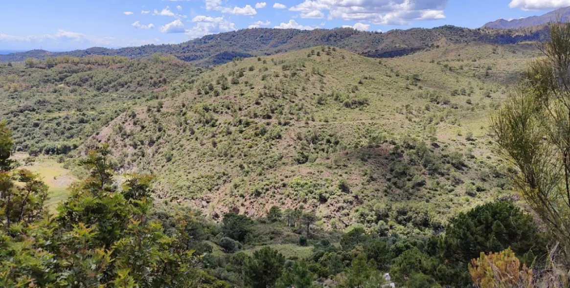 Продажа  жилого участка в Benahavís 14