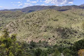 Image 12 thumb