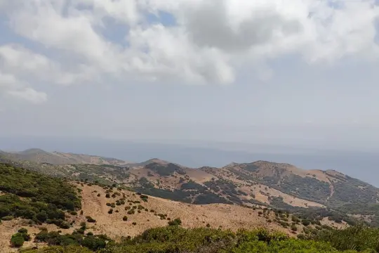 Image 9 thumb