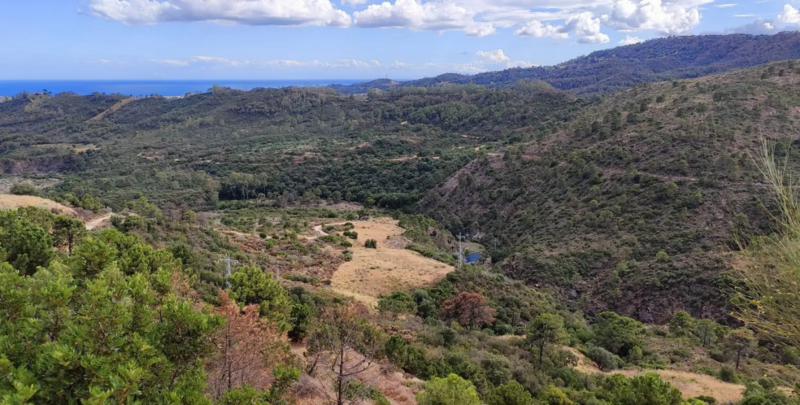 Sale of residential plot in Benahavís 15