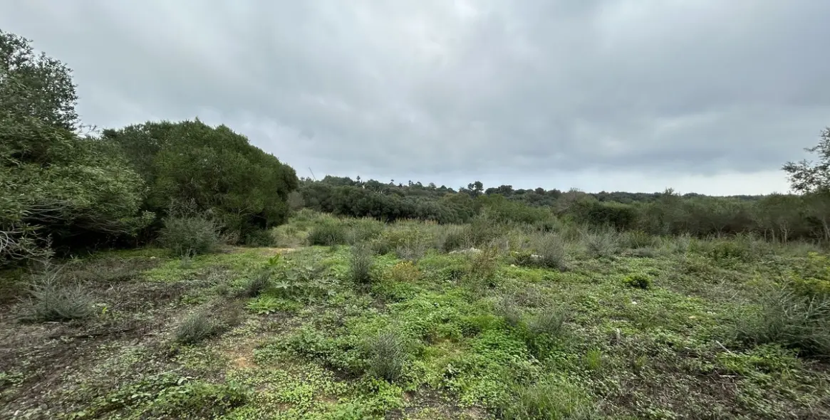 Venta de parcela residencial en Sotogrande Alto 1