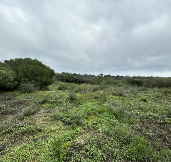 Venta de parcela residencial en Sotogrande Alto