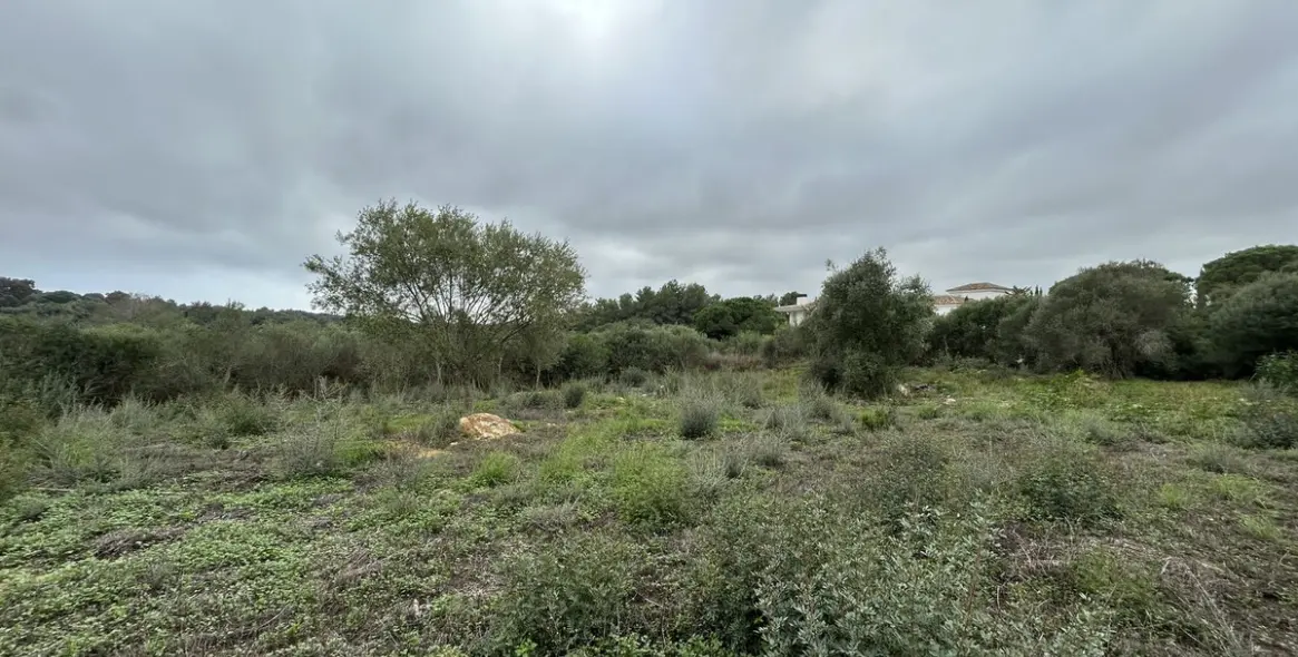 Venta de parcela residencial en Sotogrande Alto 2