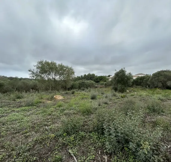 Venta de parcela residencial en Sotogrande Alto