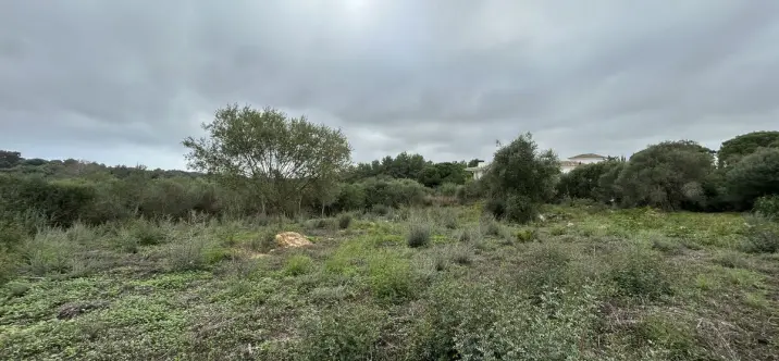 Venta de parcela residencial en Sotogrande Alto 1