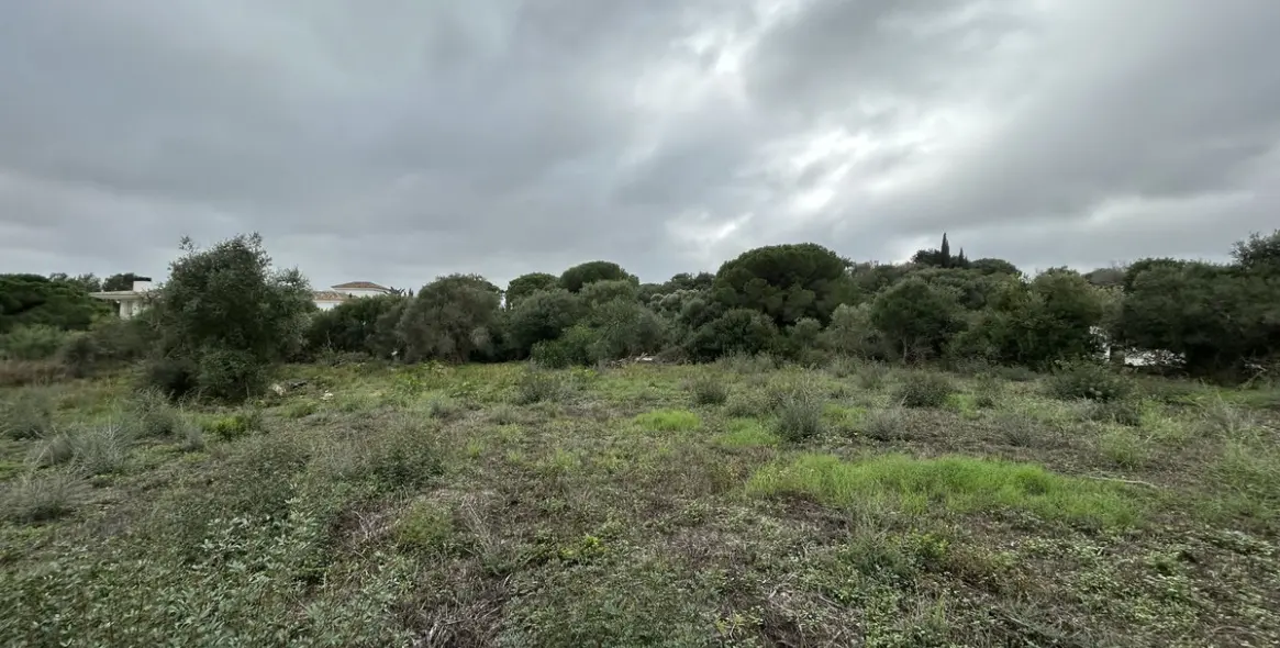 Venta de parcela residencial en Sotogrande Alto 3