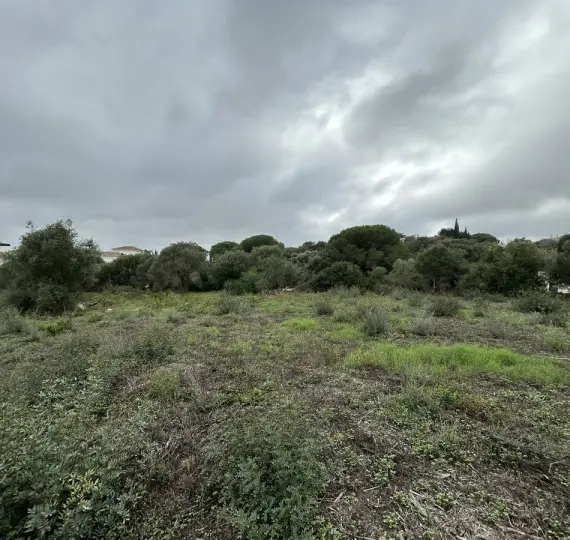 Venta de parcela residencial en Sotogrande Alto