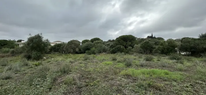 Venta de parcela residencial en Sotogrande Alto 2