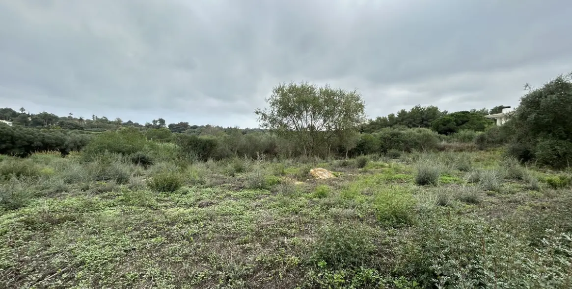 Venta de parcela residencial en Sotogrande Alto 4