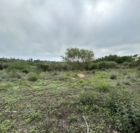 Venta de parcela residencial en Sotogrande Alto