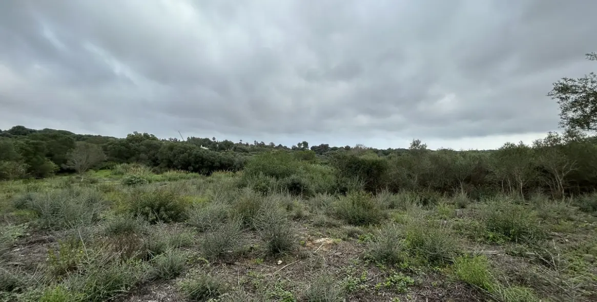 Venta de parcela residencial en Sotogrande Alto 5