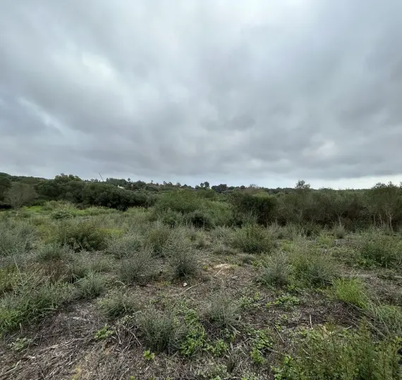 Venta de parcela residencial en Sotogrande Alto