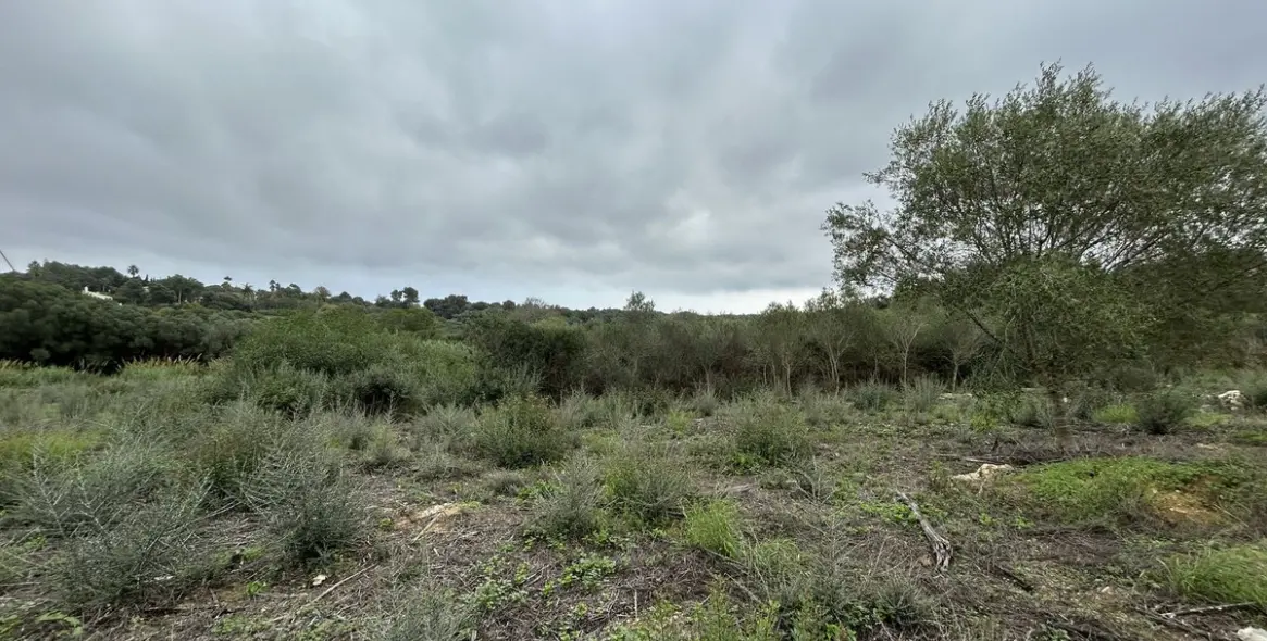 Venta de parcela residencial en Sotogrande Alto 6