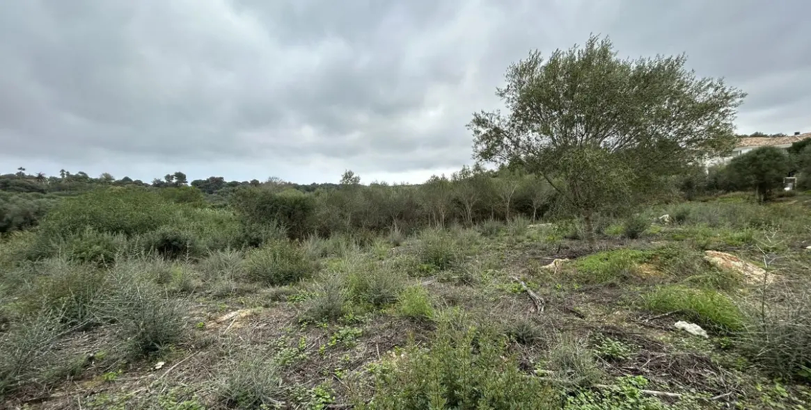 Venta de parcela residencial en Sotogrande Alto 8