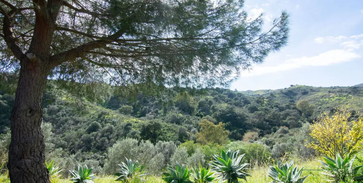 Venta de finca - cortijo en La Cala Golf 2