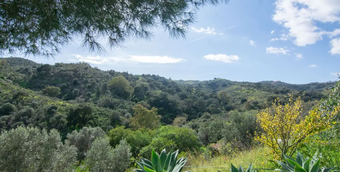 Venta de finca - cortijo en La Cala Golf 31