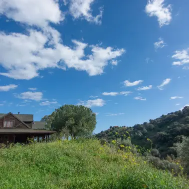 Sale of finca - cortijo in La Cala Golf