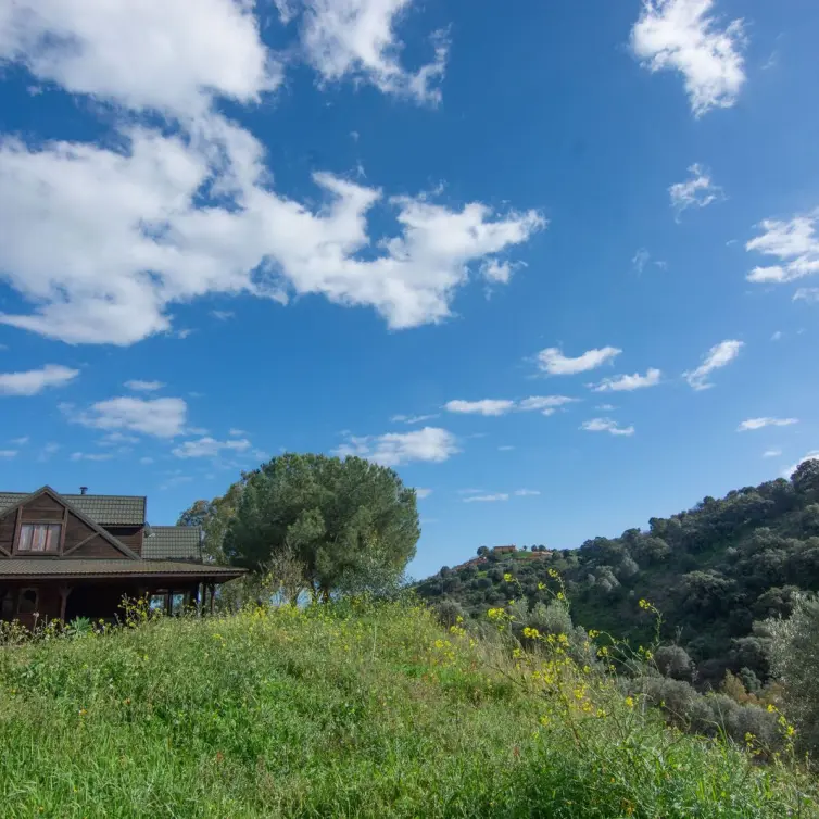 Venta de finca - cortijo en La Cala Golf