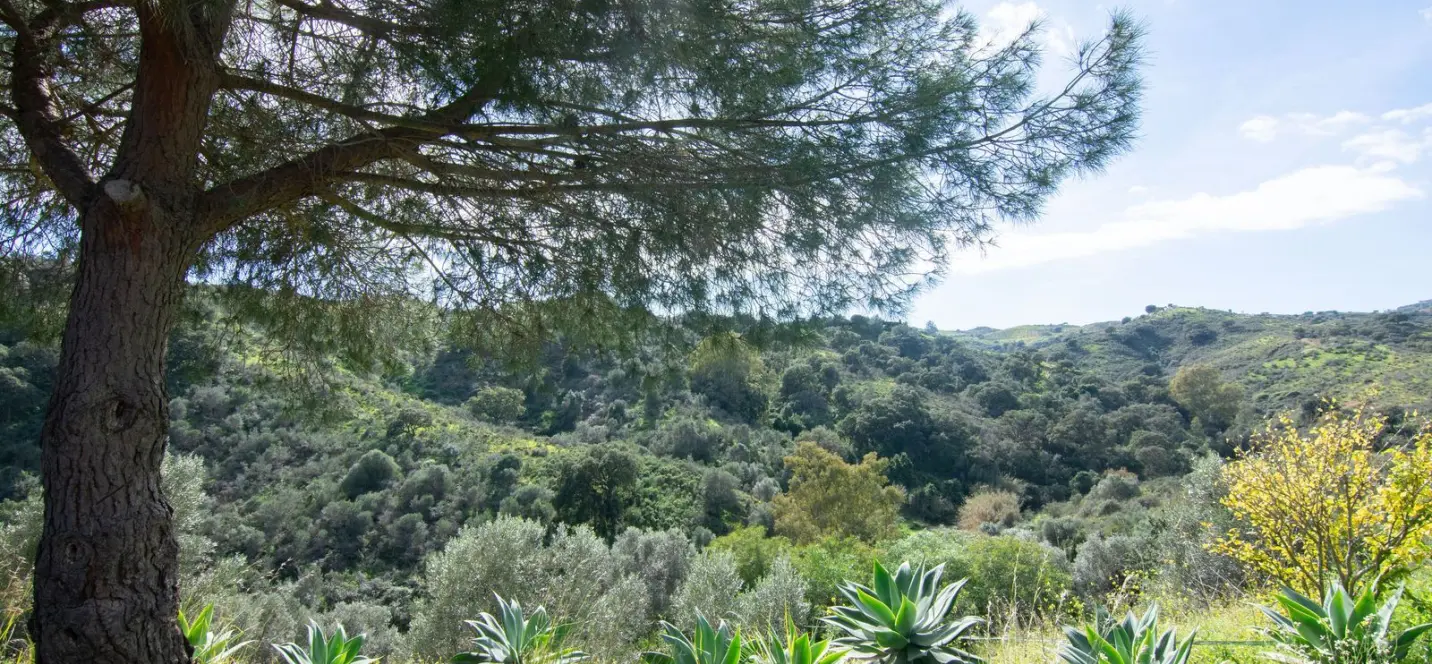 Venta de finca - cortijo en La Cala Golf 1