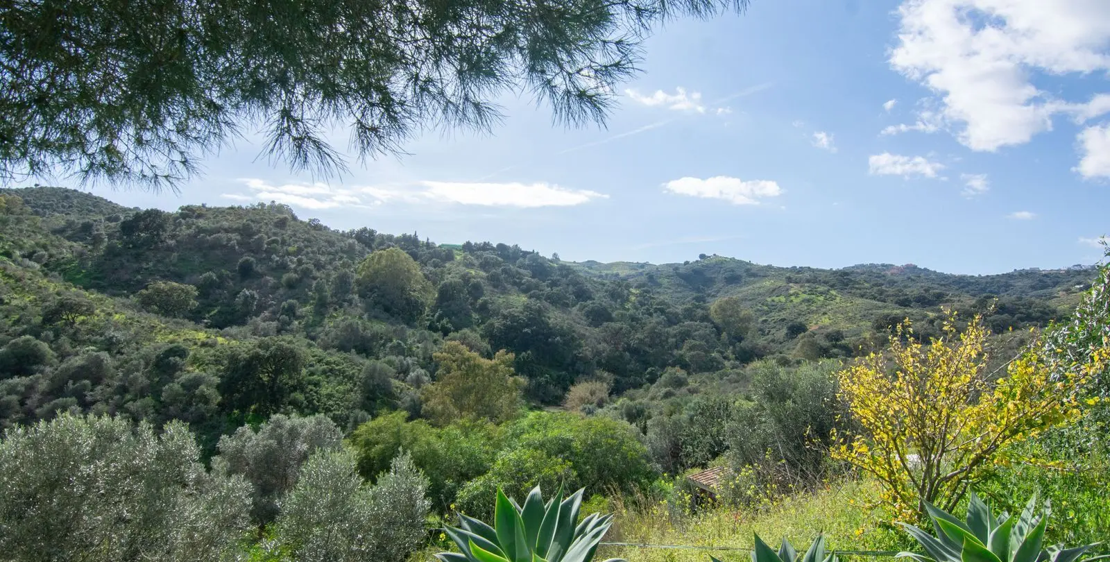Venta de finca - cortijo en La Cala Golf 31
