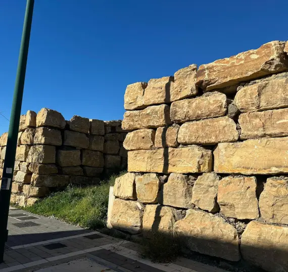 Sale of residential plot in Limonar