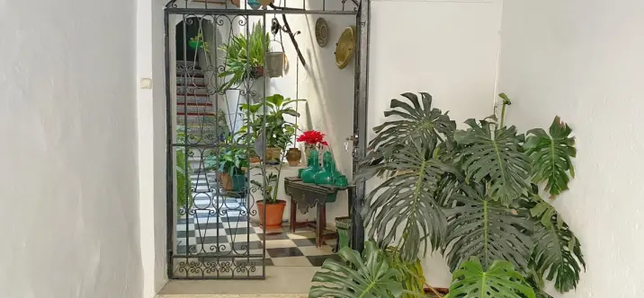 Продажа пентхауса в Marbella 0