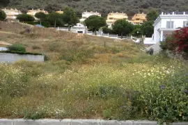 Image 5 thumb