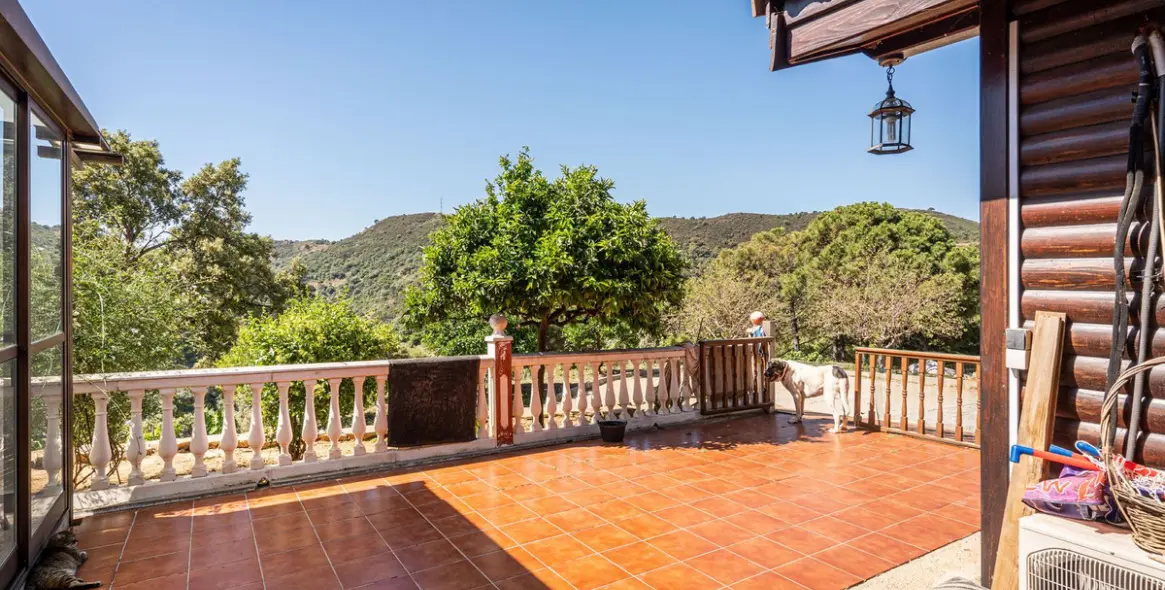 Venta de finca - cortijo en Estepona 28