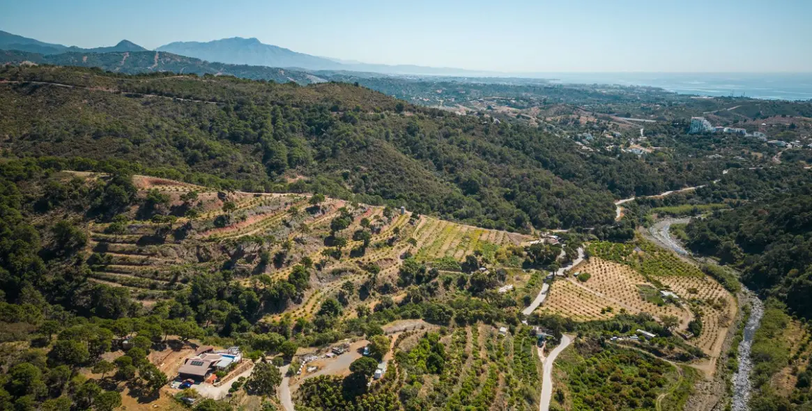 Venta de finca - cortijo en Estepona 38