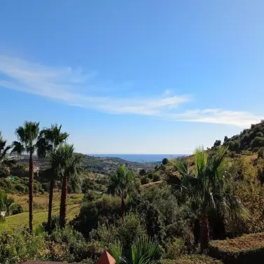 Venta de finca - cortijo en Estepona
