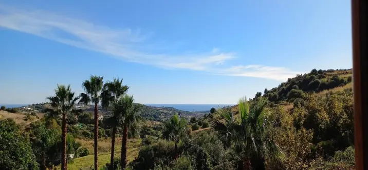 Venta de finca - cortijo en Estepona 3