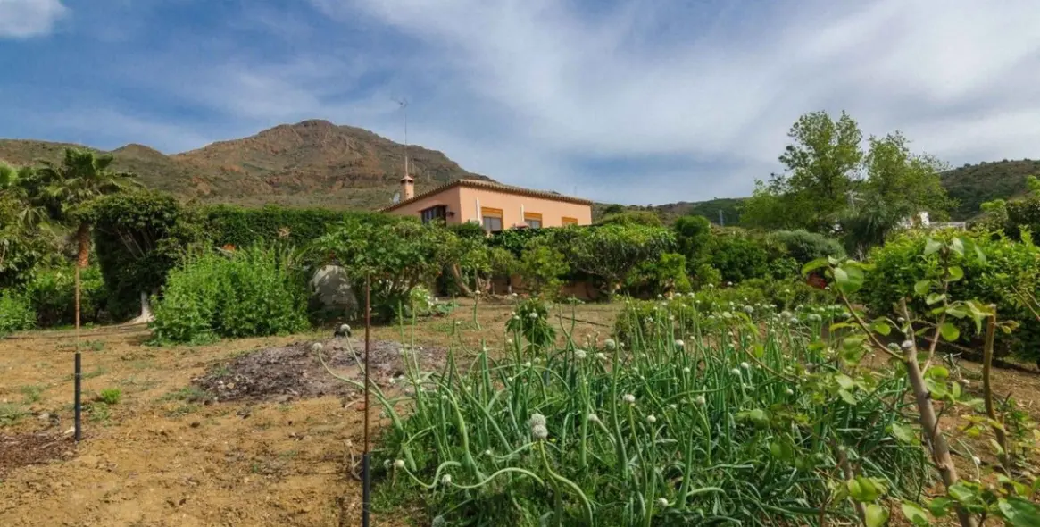 Продажа финки в Estepona 24