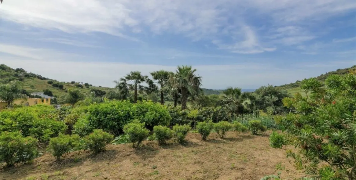 Продажа финки в Estepona 25