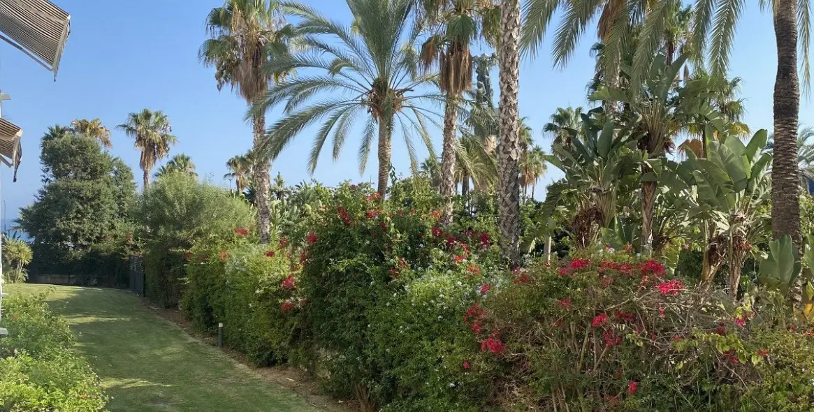 Sale of ground floor apartment in Puerto Banús 17