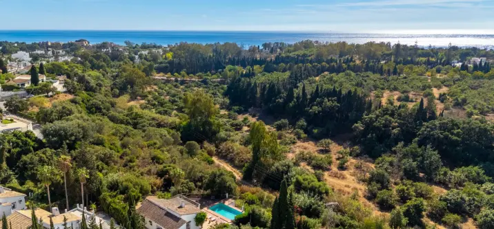 Oтдельно стоящая вилла R5198512 2