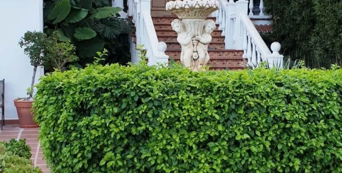 Sale of detached villa in Alhaurín de la Torre 1