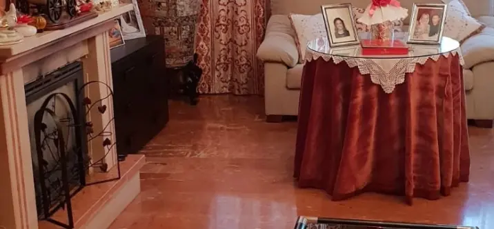 Sale of detached villa in Alhaurín de la Torre 2