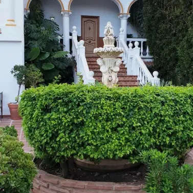 Sale of detached villa in Alhaurín de la Torre
