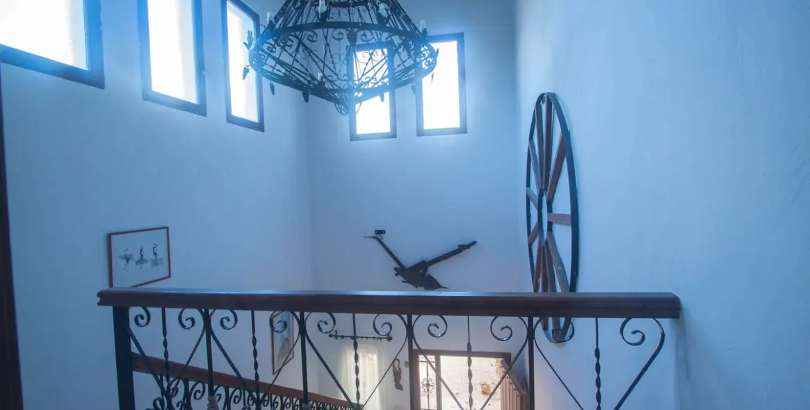 Sale of finca - cortijo in Estepona 22