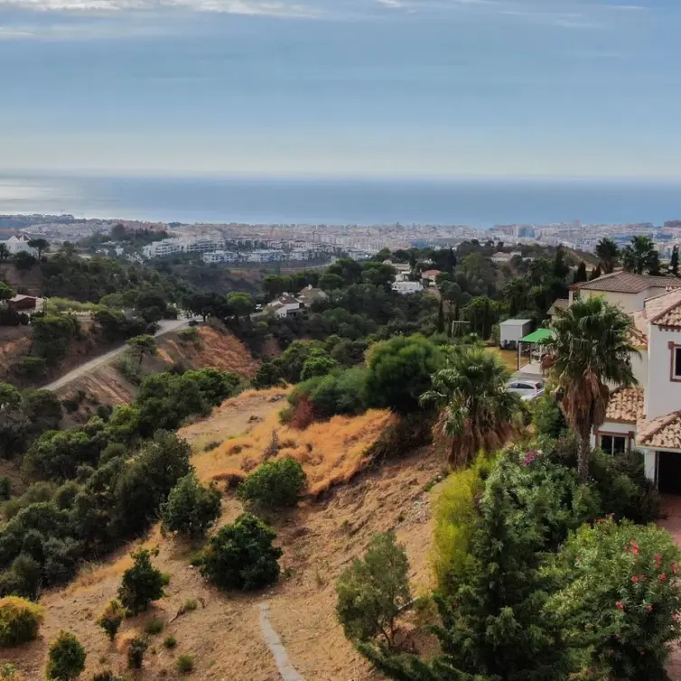 Sale of finca - cortijo in Estepona