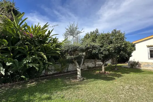 Image 19 thumb