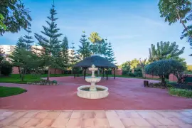Image 20 thumb