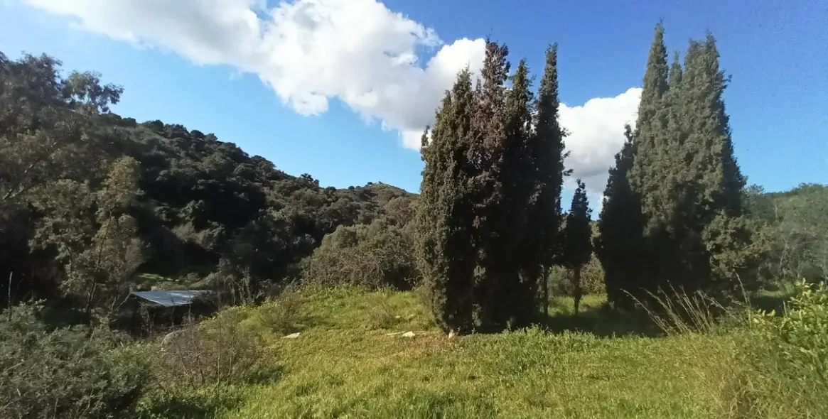 Sale of detached villa in La Cala Golf 4