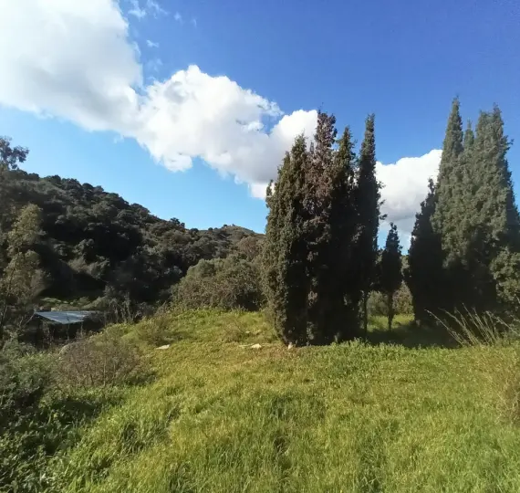 Sale of detached villa in La Cala Golf