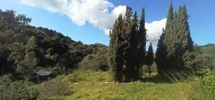 Sale of detached villa in La Cala Golf 3