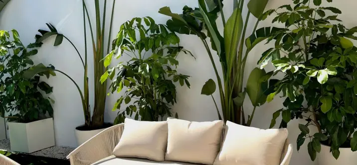 Продажа апартаментов на первом этаже в Nueva Andalucía 1